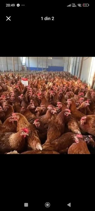 Gaini adaptate pentru orice gospodarie