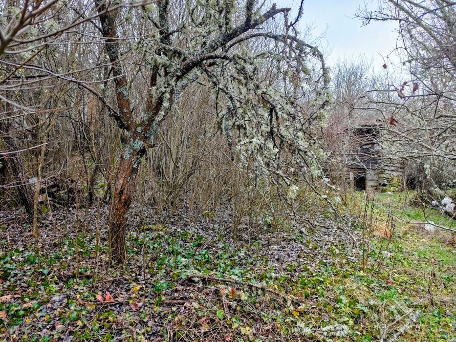 Продава се Парцел в София, Карпузица - 980 кв.м за 11 €/кв.м - Снимка #5