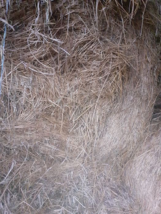 Baloti rotunzi de fân