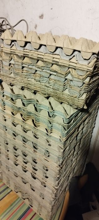 20 ст. за брой. Кори за яйца, 30 гнезда.