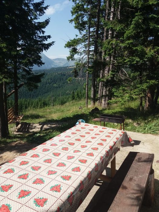 Cabana Ranca de vanzare
