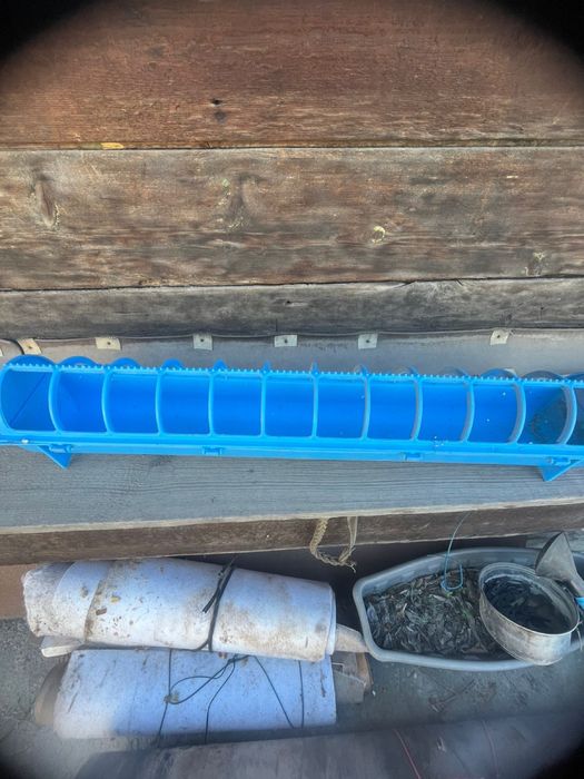 Кормушки для птицы