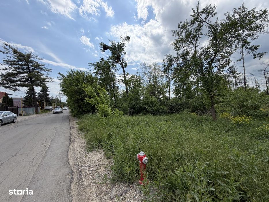 Teren de vânzare - Lunca Bistriței - Gheraiesti - 500 mp