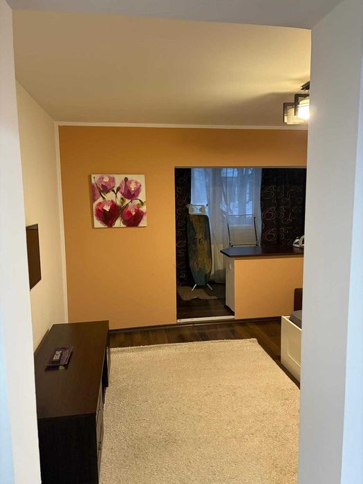 Apartament 1 camera