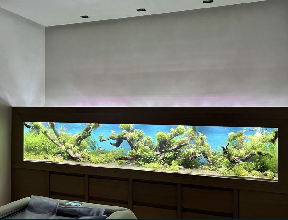 Продажа рыб и его обслуживание