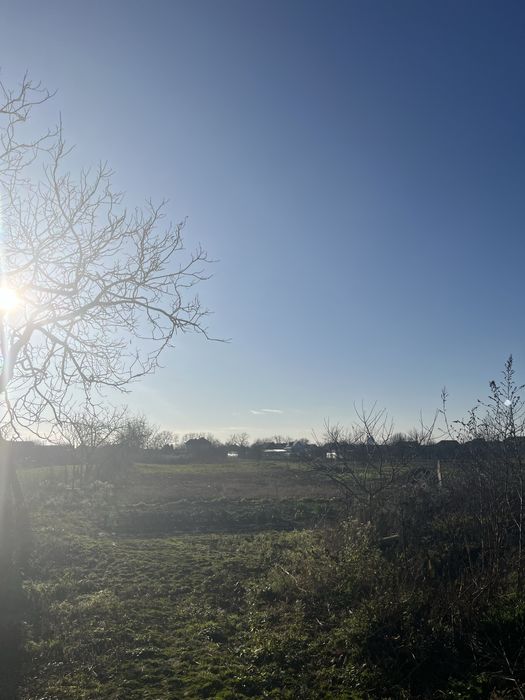 Casă cu teren generos in Pădureni