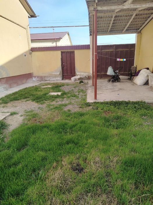 Navoiy viloyati Navbaxor tumani Shortepa da 6 sotixli katej sotiladi