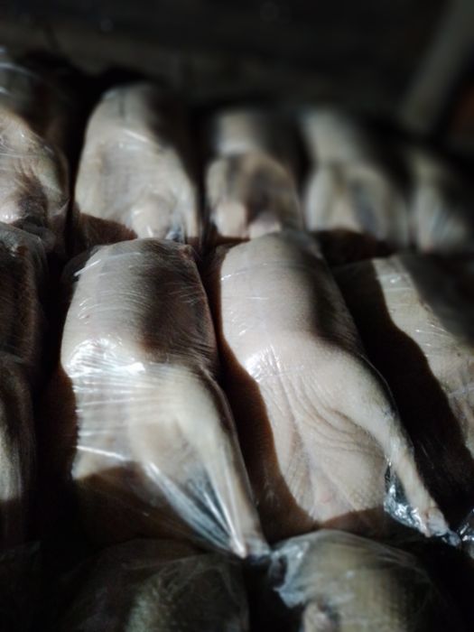 Гуси тушками Гуси