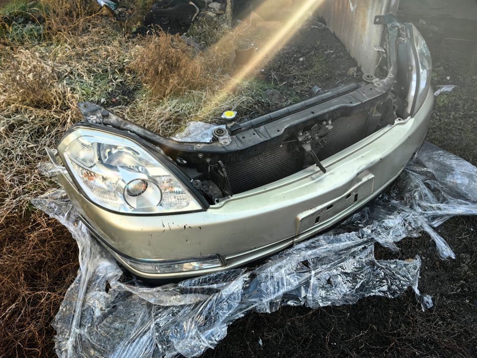 Ноускат Теана 31