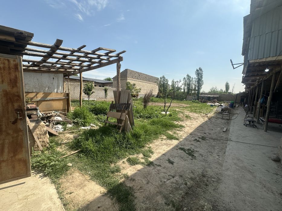 Yangi toshmi postidan 4 km kirganda
