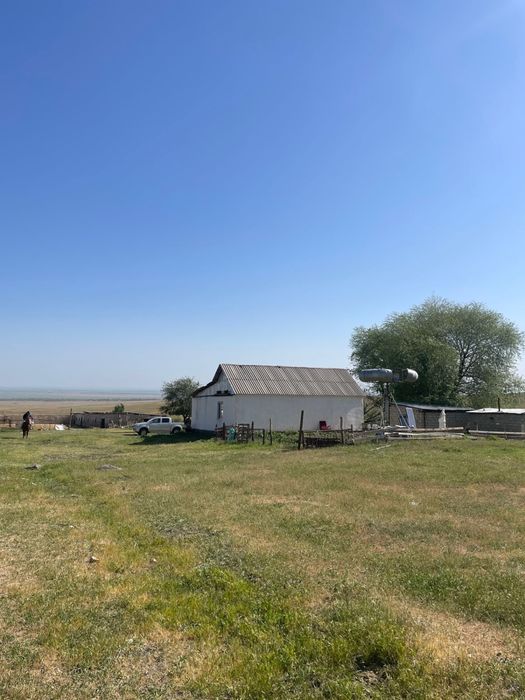 Фазенда в Акыртобе