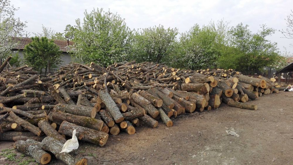 Продавам Дърва за огрев и подпалки.