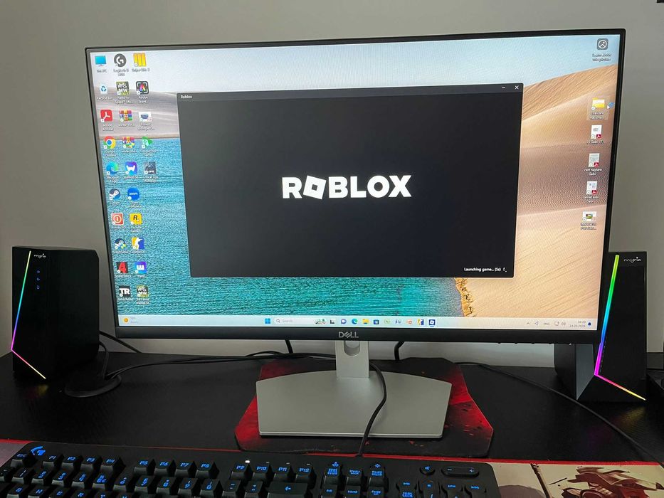 Monitor LED Dell S2421HN Connected to NVIDIA GeForce GTX1650