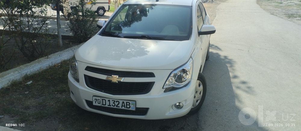 Кобилт краскаси тоза