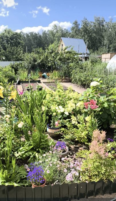 Продам дачу Энергетик 2