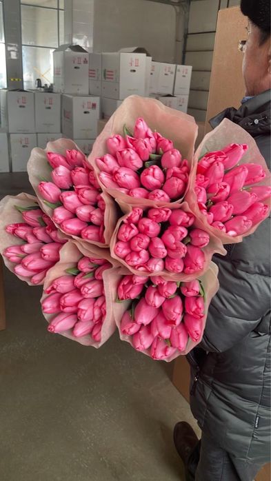 тюльпаны предзаказ!