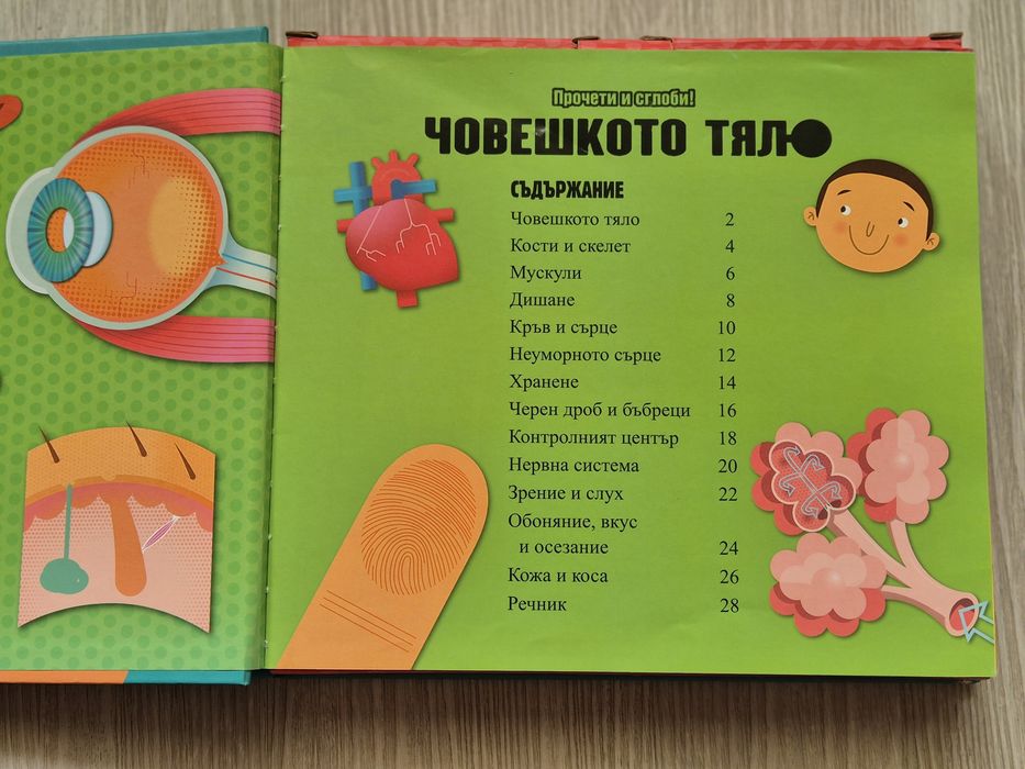 Прочети и сглоби! Човешкото тяло