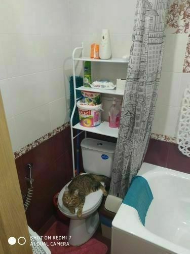 Органайзер  полка для унитаза