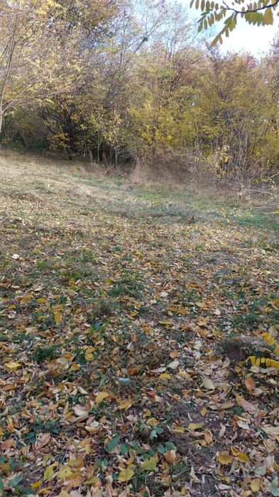 Teren 1600 mp intravilan Podu Cheii   lângă Baraj Paltinu  și Valea Doftanei,viitoare ruta alternativa  Valea Doftanei Brasov,ideal pentru A-frame