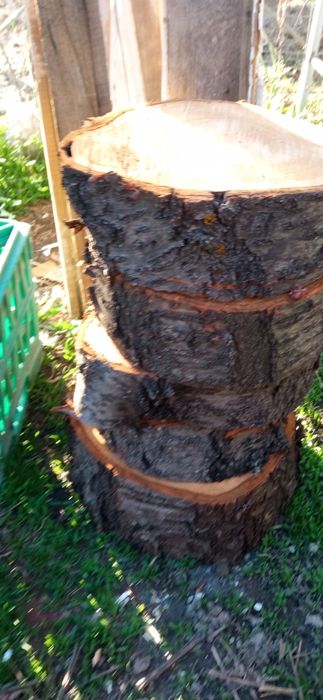 Орех и шайби от ореха