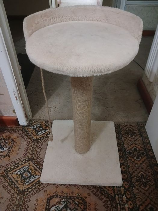 Продаётся Когтетоточки