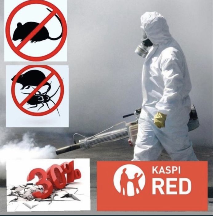 Дезинфекция клопы, термиты, тараканы, блохи