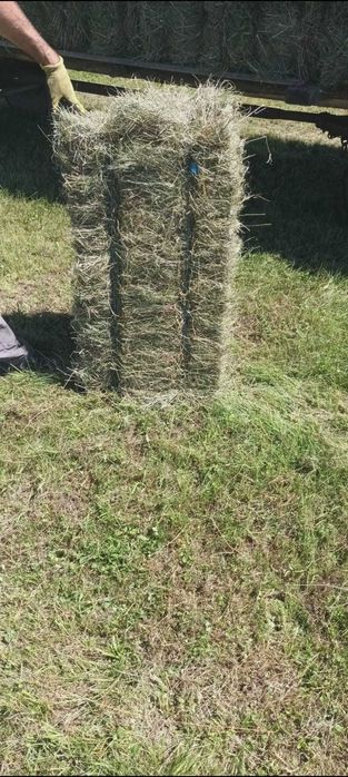 Baloți de fân de vânzare