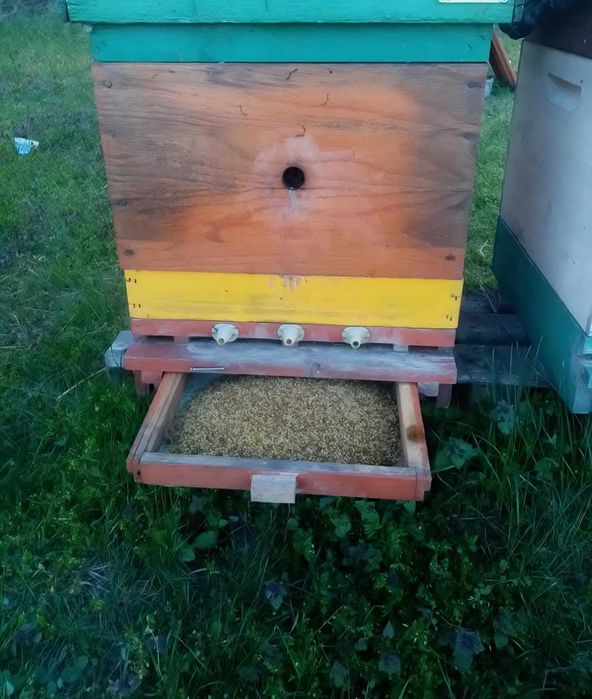 Пчелин прашец,богат на витамини,минерали и антиоксиданти.