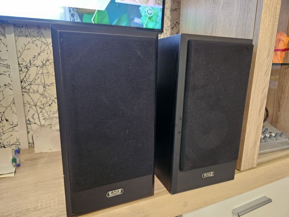 Boxe  Acoustic Energy Aegis One