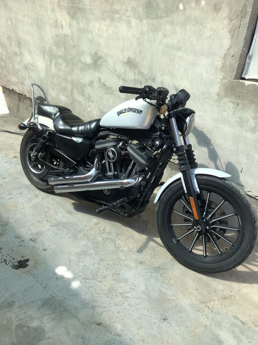 Продается harley davidson sportster 883 custom