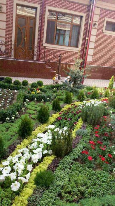 Газоны рулоны оптом