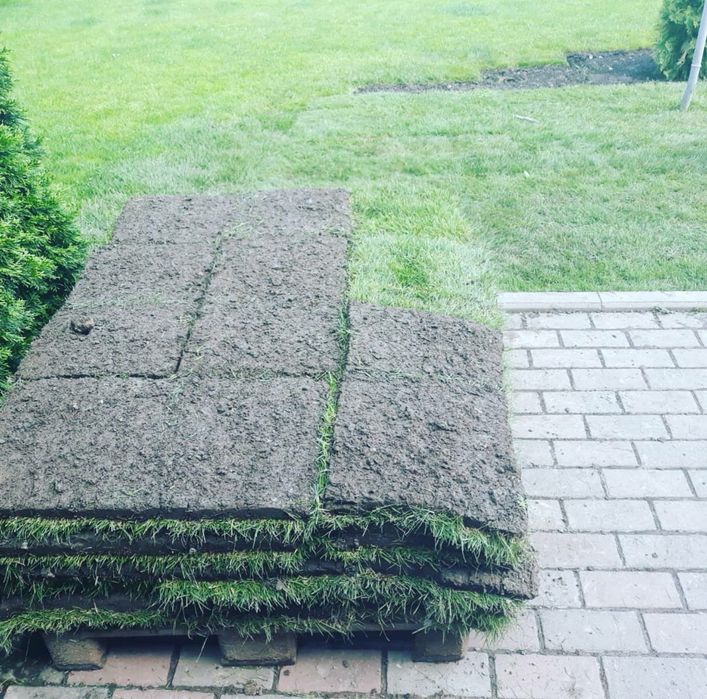 Газон под ключ сочный зеленый газон