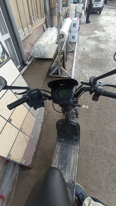 Drongo elktr skuter