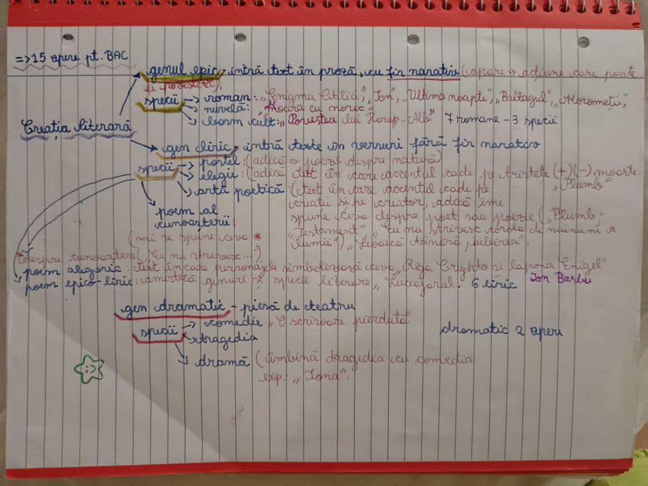 Caiet Bac pentru Română, tot ce ai nevoie