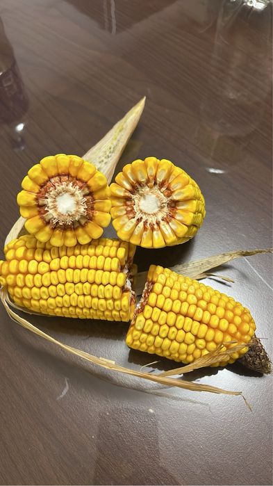 Porumb boabe  /siloz