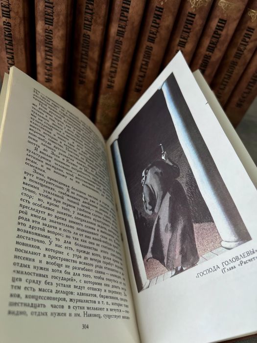 Книги. Салтыков-Щедрин.