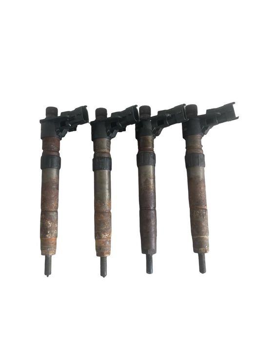 Set Injectoare Combustibil Land Rover Freelander 2 Lf_, L359 2006 - 2014 2.2D E4 0445115042