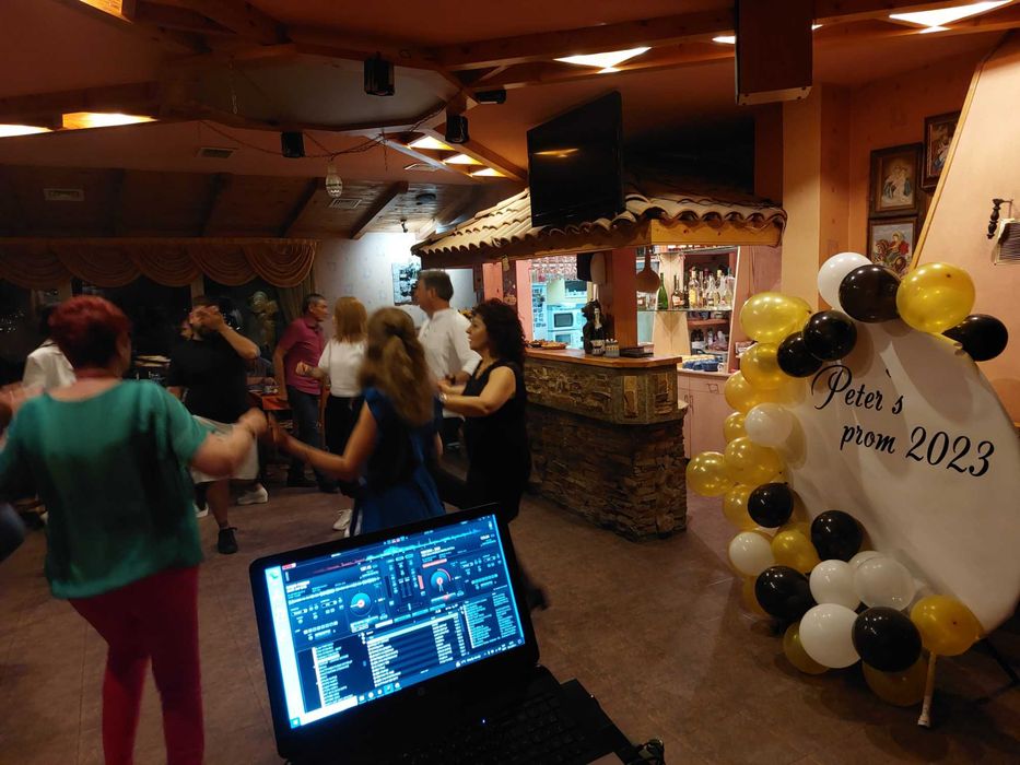 Ди джей, PARTY DJ, Дисководещ