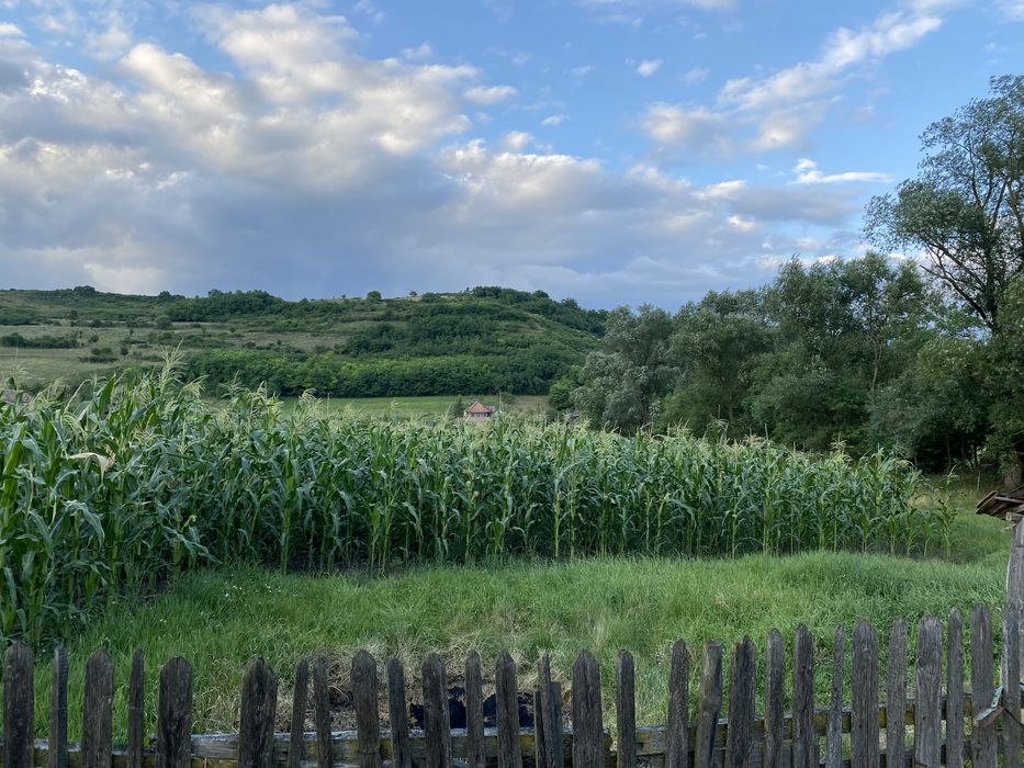 Vand Casa in Faragau