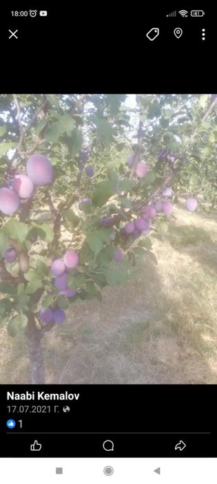 Продава се Къща в с. Асеновци, Област Плевен - 60 кв.м за 192 €/кв.м - Снимка #9