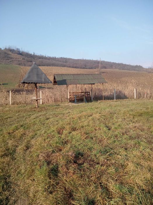 Teren de vînzare in Nicula