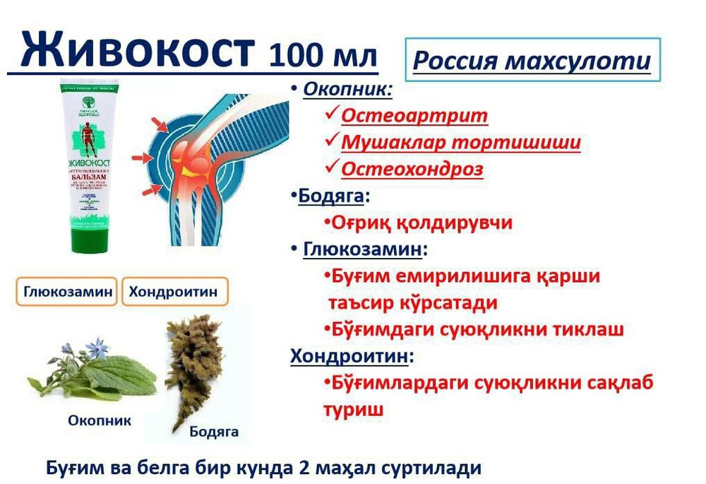 Живокост Сибирское здоровье