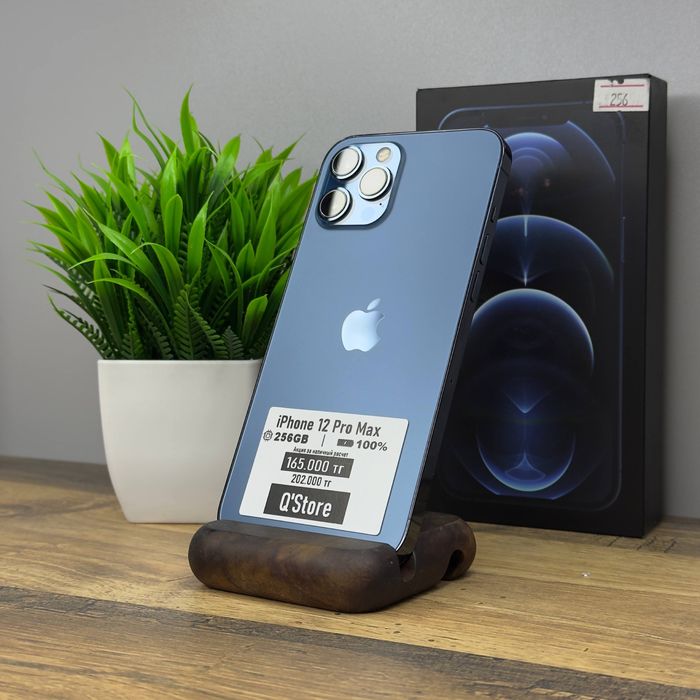 Iphone 12 Pro Max / 256GB / 100% / Q’Store