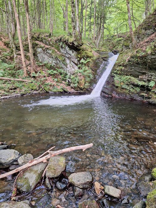 Închiriez casa de vacanta la munte cu ciubar