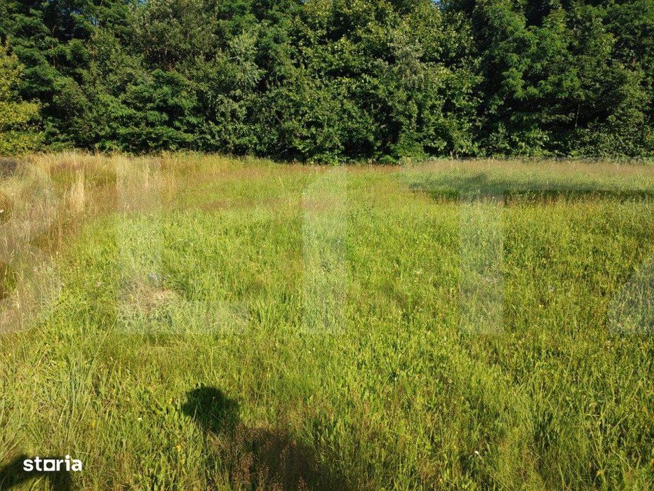 Teren, 700 mp pentru cabanute , toate utilitatile in  Feleacu