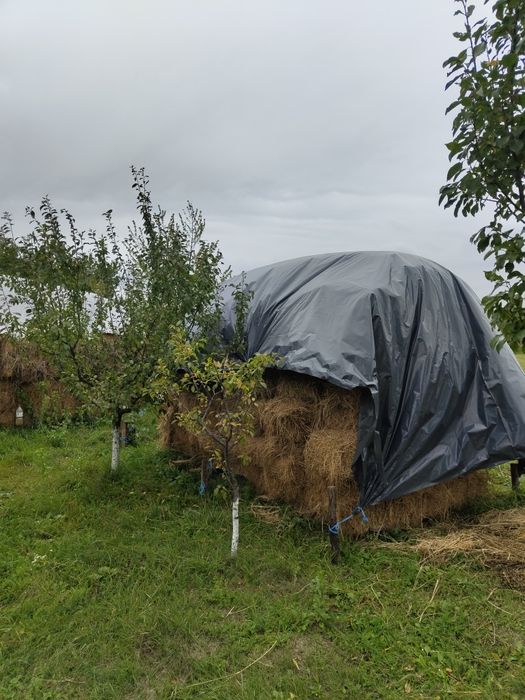 Baloți lucerna de vânzare