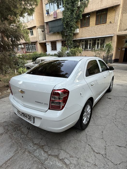 Cobat AT 2021 holat zo’r