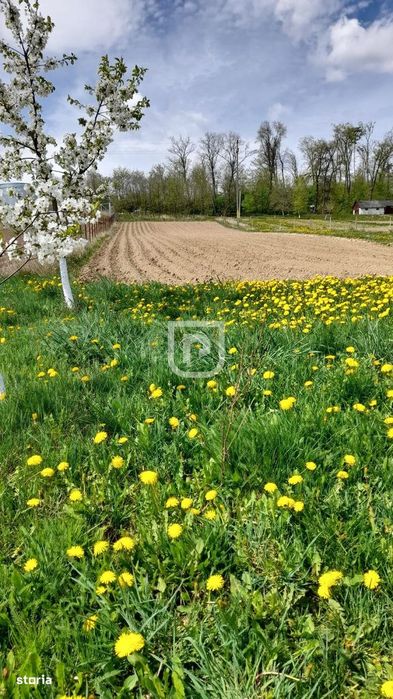 Casă 5 camere, 2.800 mp teren, Dărmănești – 13 km Suceava
