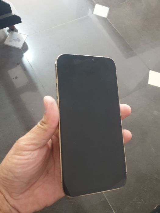 Iphone 12 pro max 256 gb