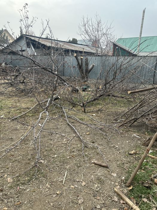 Дрова бесплатно срочно